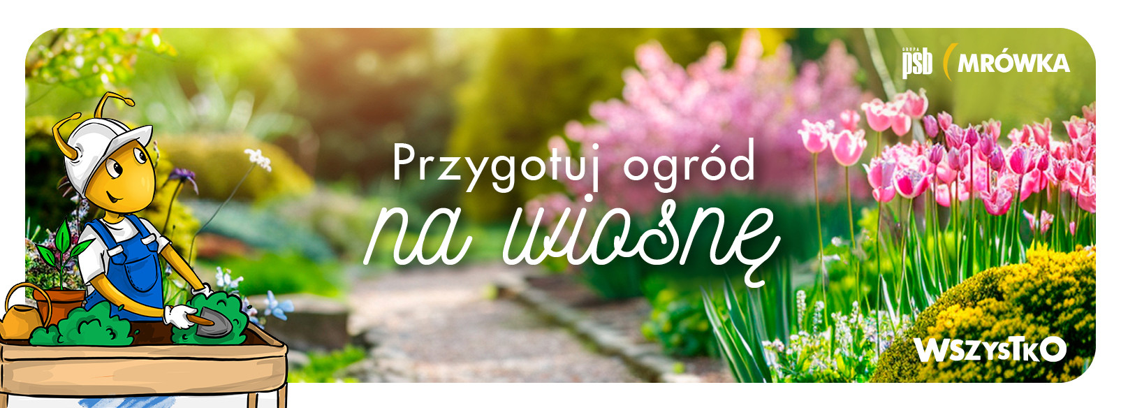 Grupa PSB mrowka Mrówka Jelcz